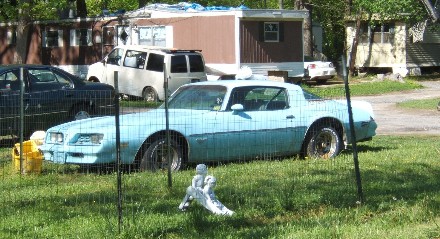 Did I ever tell you about the Native American Skybird legend?